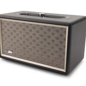 HFG311BT Bluetooth-Lautsprecher mit USB und Batterie - Retro Black Expressversand