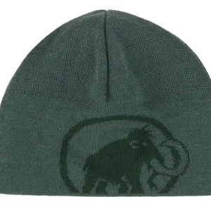 Abverkauf Mammut Tweak Beanie Dark Jade/Woods Mütze