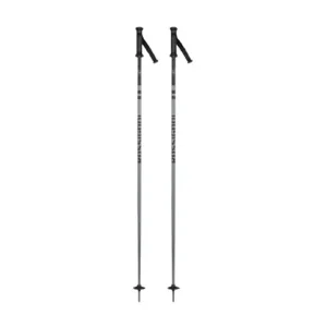 Zertifiziert Rossignol Stove Box Grey 130 cm Skistöcke