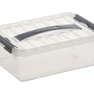 Nur Für Kurze Zeit Sunware Q-line Aufbewahrungsbox mit Griff - 4 Liter