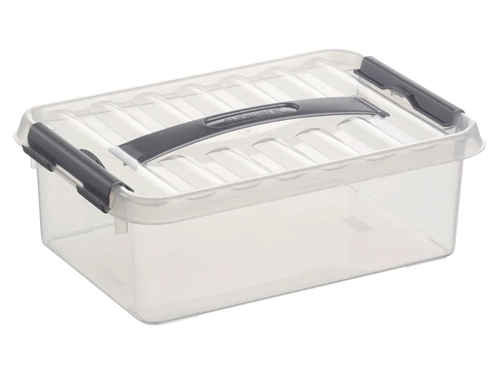 Nur Für Kurze Zeit Sunware Q-line Aufbewahrungsbox mit Griff - 4 Liter