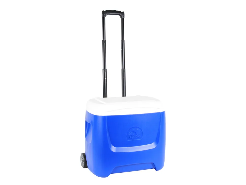 Igloo Island Breeze 28 Roller Kühlbox Wochenendangebot