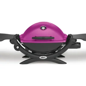Weber Q1200 Modell 2018 Gasgrill Billig