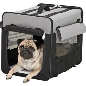 Flamingo Smart Top Plus Versand Am Gleichen Tag