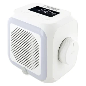 Rabatt Schwaiger RAFM0100 Steckdosenradio