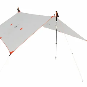 Must-Have Slingfin NFT
