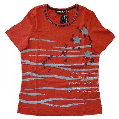 Ausverkauf Canyon T-Shirt Print red clay