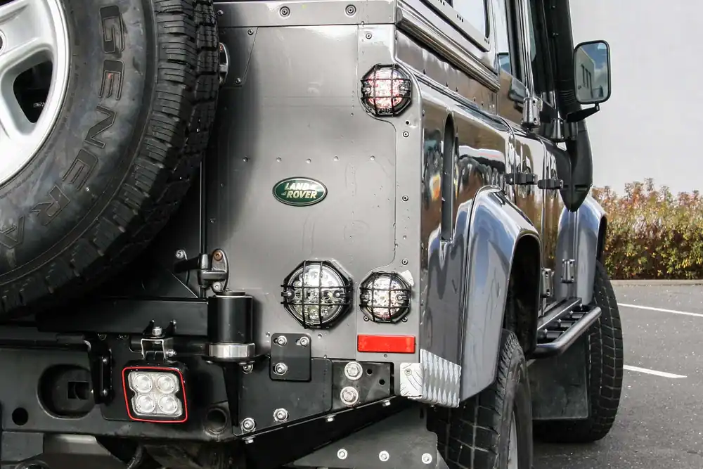 Nakatanenga Lampenschutzgitter Typ Q für Nebel-/Rückfahrlicht, Paar Expressversand