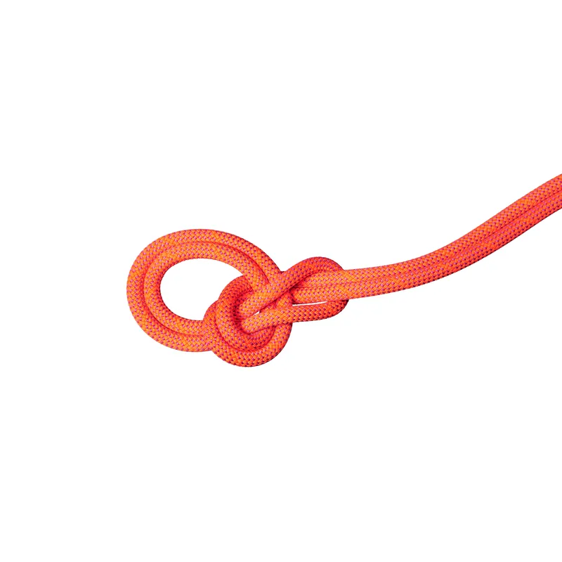Top-Seller MAMMUT "9.8 Crag Dry 70m"