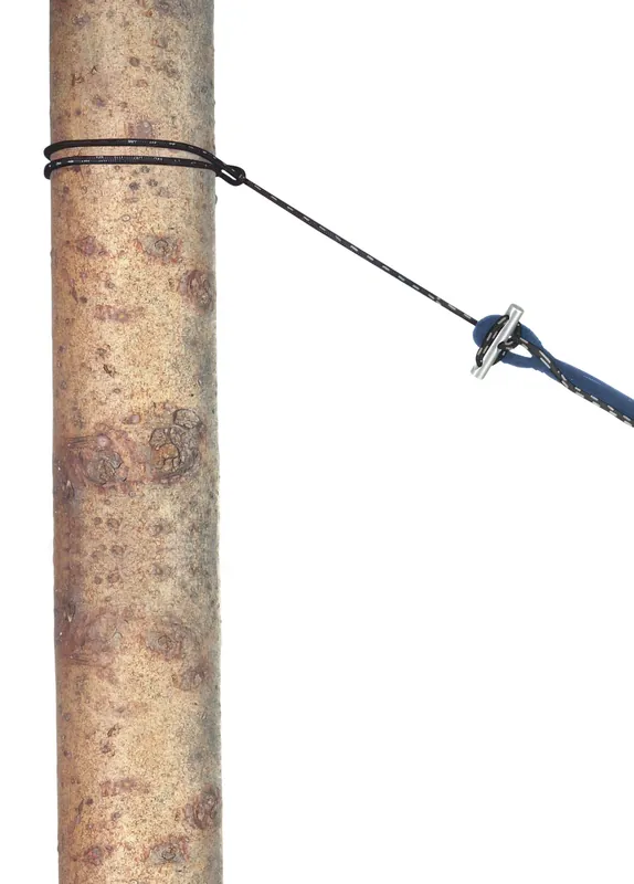 AMAZONAS Amazonas Hängemattenzubehör 'Micro-Rope' Beliebt