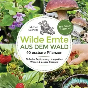 "Wilde Ernte aus dem Wald" Bestpreis