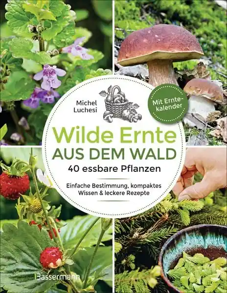 "Wilde Ernte aus dem Wald" Bestpreis