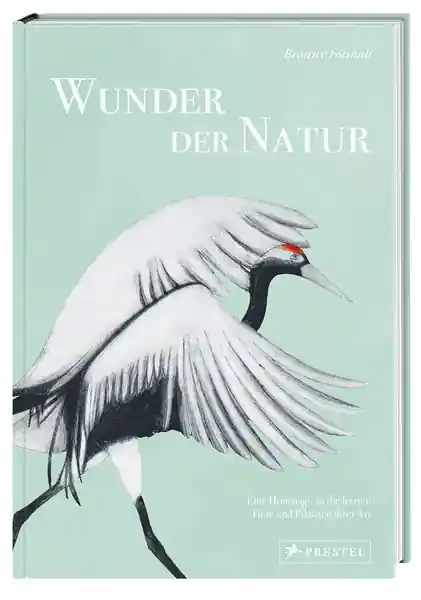 Finale Aktion "Wunder der Natur"